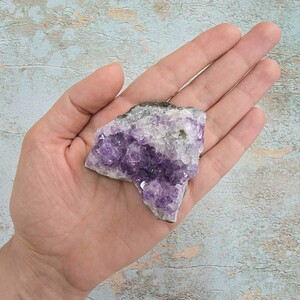 امیتیست راف برزیل کد 75