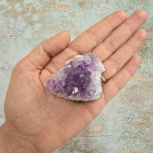 امیتیست راف برزیل کد 79