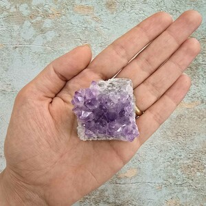 امیتیست راف برزیل کد 80