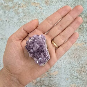 امیتیست راف برزیل کد 81