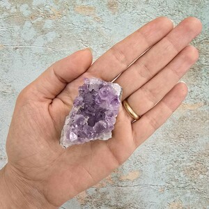 امیتیست راف برزیل کد 82