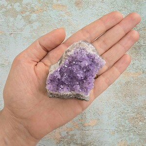 امیتیست راف برزیل کد 83