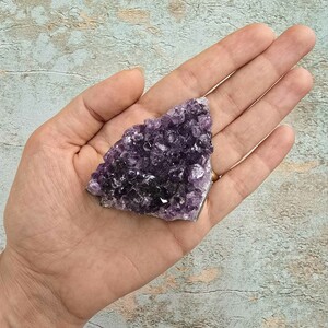 امیتیست راف برزیل کد 84