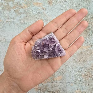 امیتیست راف برزیل کد 91