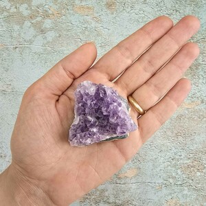 امیتیست راف برزیل کد 92