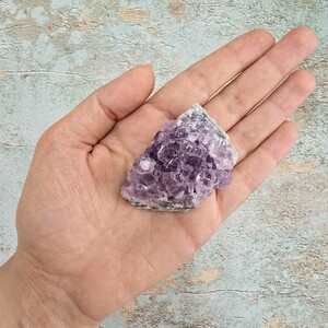 امیتیست راف برزیل کد 93