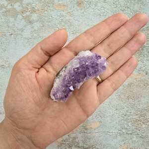 امیتیست راف برزیل کد 94