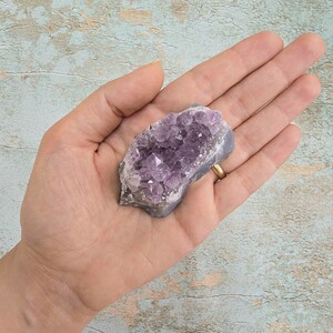 امیتیست راف برزیل کد 96