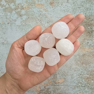 سلنایت تامبل کد 6