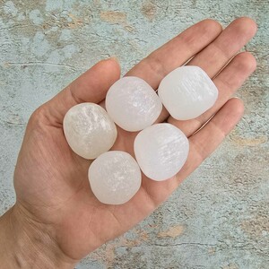 سلنایت تامبل کد 8