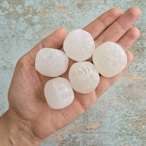 سلنایت تامبل کد 11