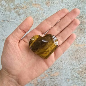 چشم ببر قلبی کلکسیونی کد 14