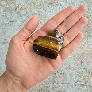 چشم ببر قلبی کلکسیونی کد 16