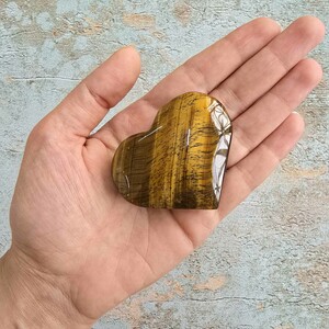 چشم ببر قلبی کلکسیونی کد 22