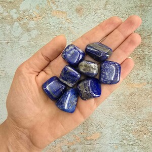 لاجورد افغان تامبل کد 19