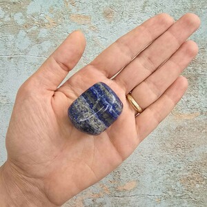 لاجورد افغان تامبل کد 31