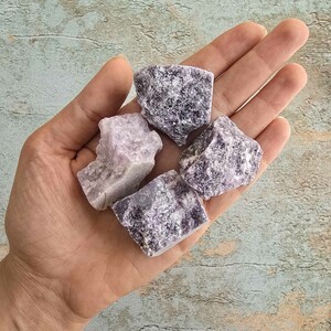 لپیدولیت راف کد 6