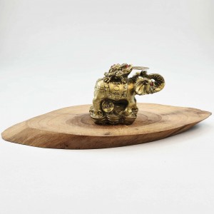 فیل و وزغ - وارداتی