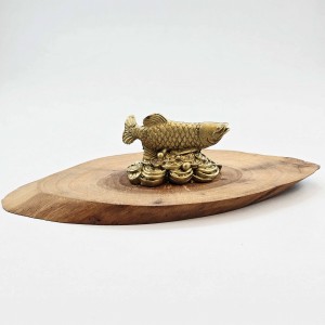 ماهی آرووانا- وارداتی