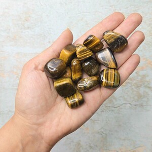 چشم ببر تامبل کد 2