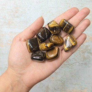 چشم ببر تامبل کد 3