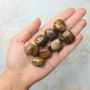 جاسپر چشم ببری کد 18