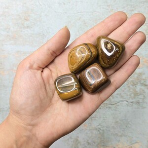 جاسپر چشم ببری کد 21