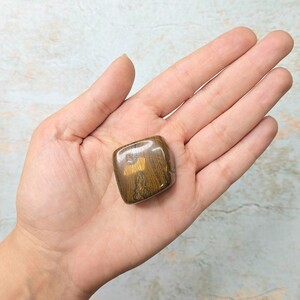 جاسپر چشم ببری کد 22