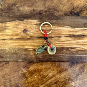 جاکلیدی 5سکه با اژدر لاکپشت