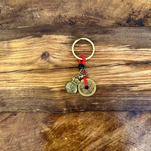 جاکلیدی 5سکه با کیسه ثروت