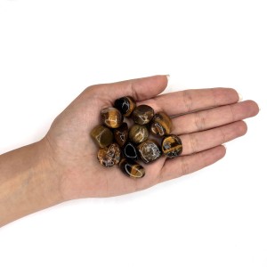 چشم ببر تامبل