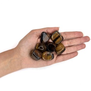 چشم ببر تامبل