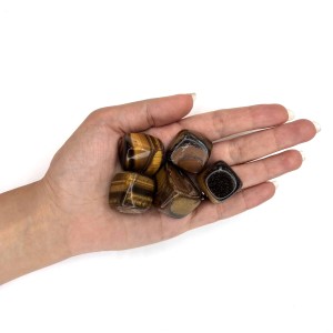 چشم ببر تامبل