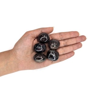 گارنت  سرخ تامبل