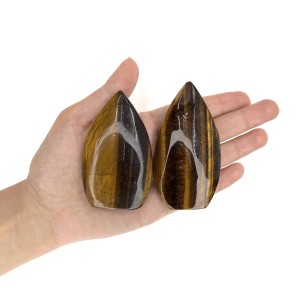 چشم ببر کلکسیونی