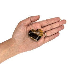 چشم ببر قلبی