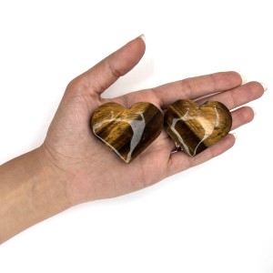 چشم ببر قلبی