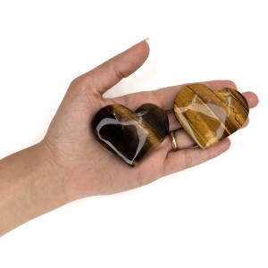 چشم ببر قلبی