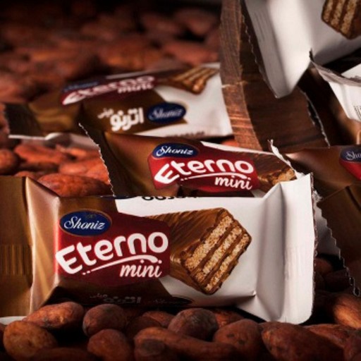 مینی اترنو شونیز