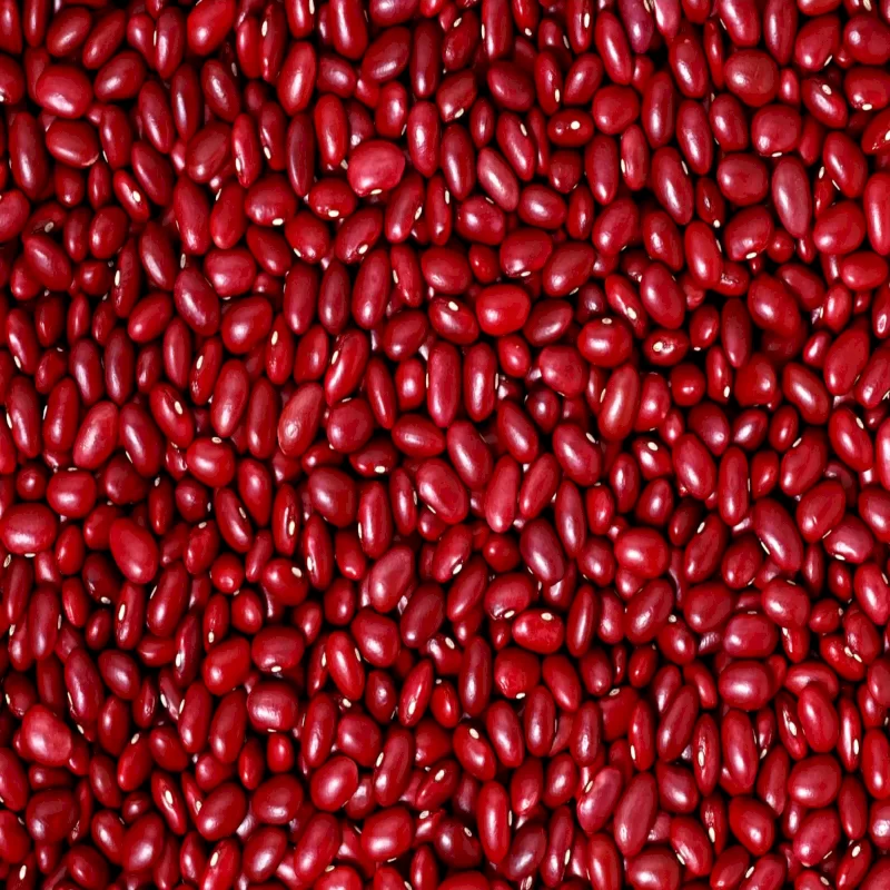 لوبیا قرمز فله ( 1 کیلوگرم)