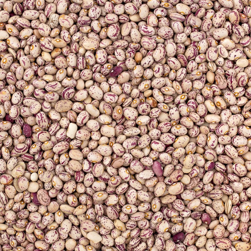 لوبیا چیتی فله ( 1 کیلوگرم)