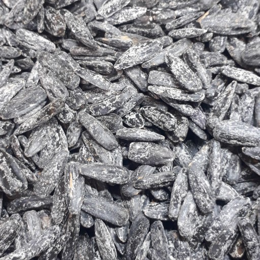 تخمه سیاه قلمی فله ( 1 کیلوگرم)