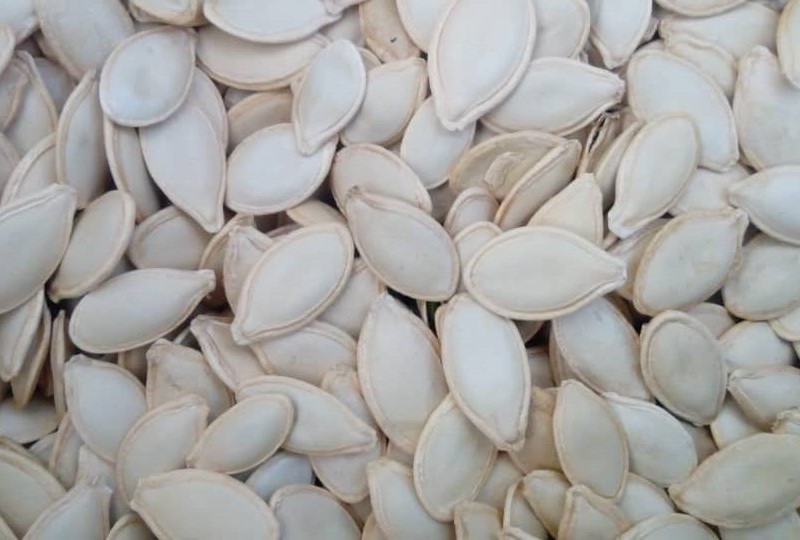 تخمه کدو گوشتی  فله ( 1 کیلوگرم)