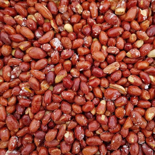 بادام زمینی شور کپسولی فله ( 1 کیلوگرم)