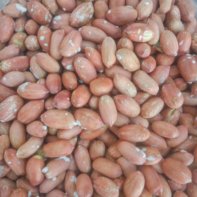 بادام زمینی آستانه  فله ( 1 کیلوگرم)