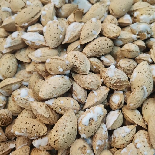 بادام درختی پوسته دار  فله (500 گرم)