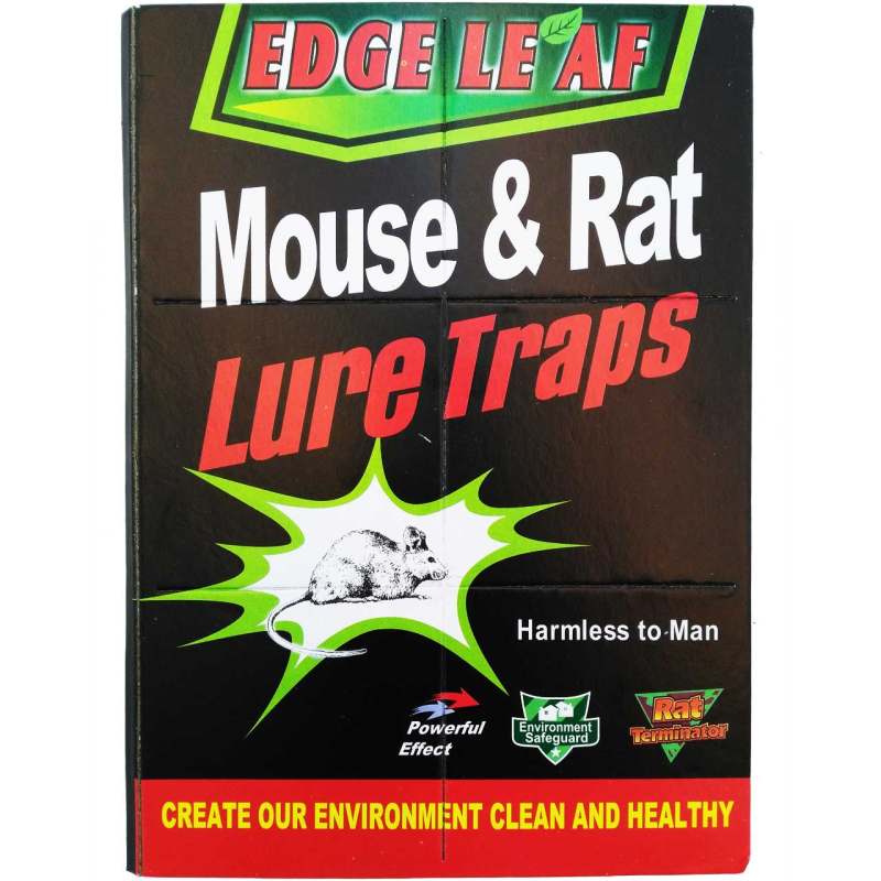 چسب موش کتابی بزرگ