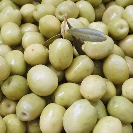 زیتون بطری هسته دار فرا سبز