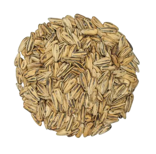 تخمه ارزان (1 کیلوگرم)