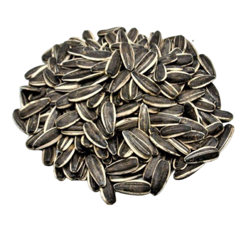 تخمه دور سفید فله (1 کیلوگرم)